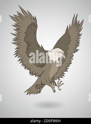 Illustration vectorielle d'un aigle volant. Illustration de Vecteur