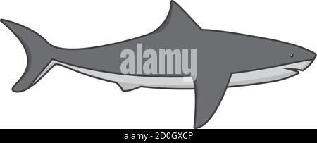 Prédateur de mer ou d'océan. Sous l'eau grand blanc un requin, poisson avec des nageoires et des branchies. Illustration de Vecteur