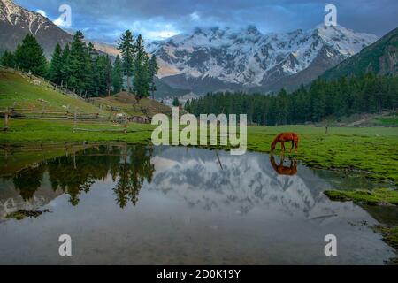 Le lac Rama est un lac près d'Astore, à Gilgit-Baltistan, au Pakistan. Il est au sommet de la belle vallée d'Astore Banque D'Images