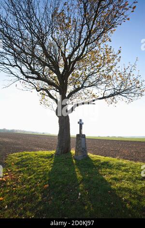 Un arbre d'automne et un chemin crucifix dans le paysage culturel de Weinviertel, Basse-Autriche Banque D'Images