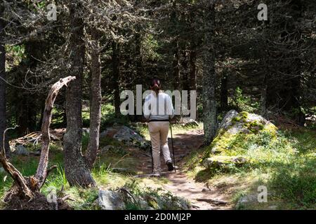 Jeune femme trekking à travers les bois centenaires de Pino Cembreo dans le Val Varaita dans la province de Cuneo. Banque D'Images