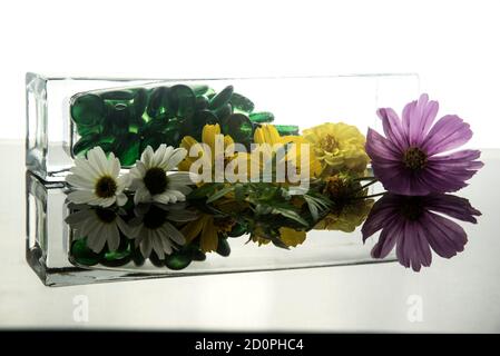 bouquet de fleurs étonnant avec rétroéclairage horizontal Banque D'Images