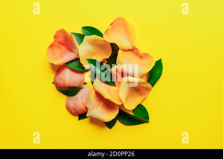 Feuilles vert de Ruscus et pétales de rose sur fond jaune. Pose à plat tendance printemps brillant. En pleine floraison Banque D'Images
