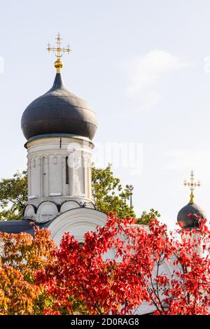 Dôme de l'église de la conception de Saint Anne in Quartier Kitay-Gorod de la ville de Moscou le jour ensoleillé de l'automne Banque D'Images