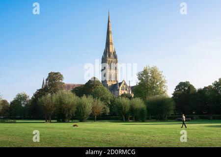 Cathédrale de Salisbury, Angleterre, vue sur les prés d'eau de Salisbury vers la cathédrale du XIIIe siècle et sa flèche de 123m de haut, Wiltshire, Angleterre, Royaume-Uni Banque D'Images