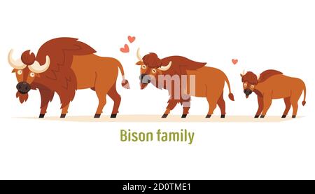 Bison famille maman, papa et veau. Illustration vectorielle plate isolée sur fond blanc. Illustrations pour enfants Illustration de Vecteur