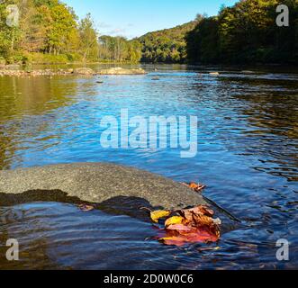 Les feuilles de couleur reposent sur une rivière rochers comme indicateurs de chute devant. Banque D'Images