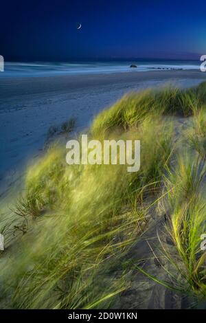 Vent souffle sable dune herbe à la plage avec la lune, Narragansett, Rhode Island USA Banque D'Images