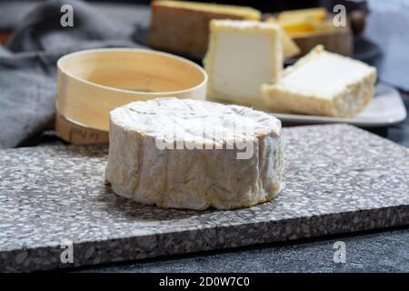 Collection de fromages, Camembert doux français de Normandie, à base de lait de vache dans la région Normandie, France gros plan Banque D'Images