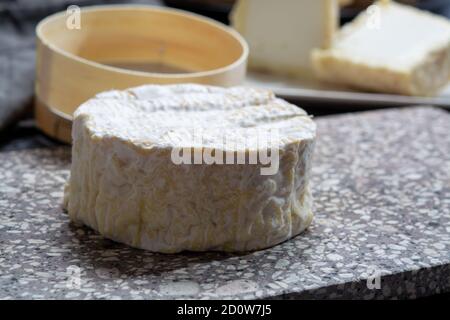 Collection de fromages, Camembert doux français de Normandie, à base de lait de vache dans la région Normandie, France gros plan Banque D'Images