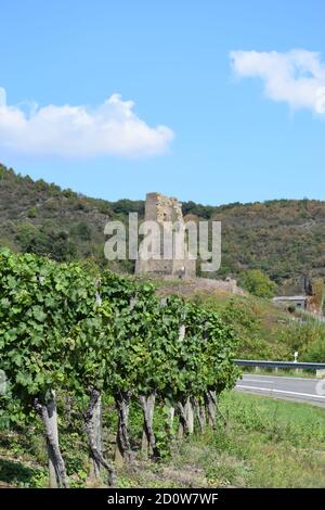 Ruine de Burg Coraidelstein, Klotten Banque D'Images