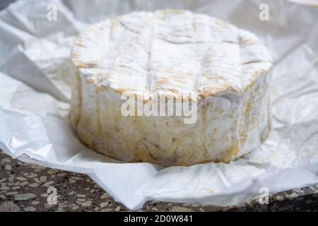 Collection de fromages, Camembert doux français de Normandie, à base de lait de vache dans la région Normandie, France gros plan Banque D'Images