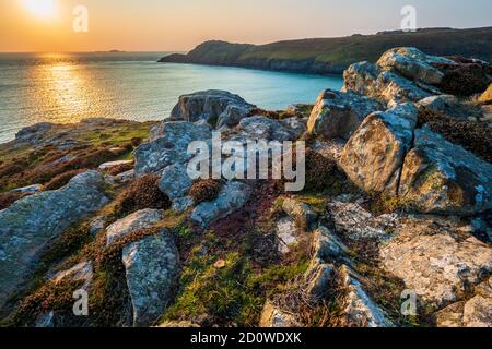 Le promontoire de St David's Head, parc national de la côte de Pembrokeshire, pays de Galles, coucher de soleil Banque D'Images