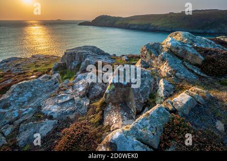 Le promontoire de St David's Head, parc national de la côte de Pembrokeshire, pays de Galles, coucher de soleil Banque D'Images