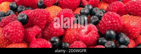 Arrière-plan-panorama d'un large assortiment de framboises fraîches, fraises, cendres de montagne. Banque D'Images