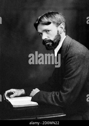 D. H. Lawrence / DH Lawrence. Portrait de l'écrivain et poète anglais David Herbert Lawrence (1885-1930), vers 1915. Banque D'Images