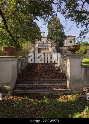 Photo verticale d'un escalier qui se relève couvert dans les feuilles séchées Banque D'Images