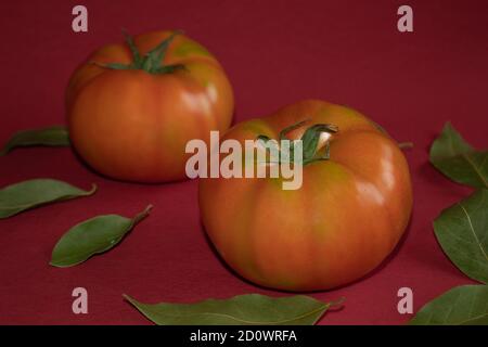 grandes tomates fraîches sur feuilles de laurier parfumées et fond rouge Banque D'Images
