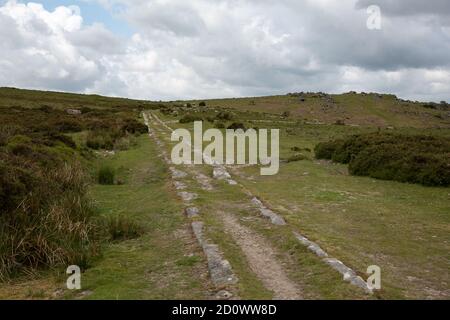 Haytor Granite tramway autrefois utilisé pour guider les roues de wagons tirés par des chevaux à Dartmoor, Devon, Royaume-Uni Banque D'Images