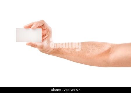 carte de visite vide dans une main mâle isolée sur blanc Banque D'Images