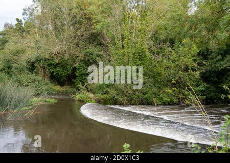 Denham, Buckinghamshire, Royaume-Uni. 3 octobre 2020. Un courant fort au déversoir sur la rivière He crak Colne qui a fait éclater ses berges dans le parc national de Denham après une pluie torrentielle hier et plus tôt aujourd'hui. Crédit : Maureen McLean/Alay Live News Banque D'Images