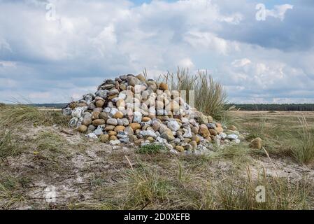 Carin avec pierres naturelles dans une grosse pile sur la lande Melby overdrev, Danemark, Setrmber 29, 2020 Banque D'Images