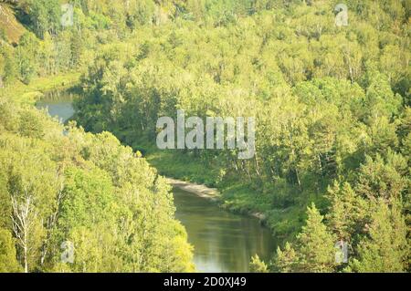 Une rivière calme qui traverse une forêt de conifères d'été dans un crevassé entre les montagnes. Berdsk Rocks, région de Novosibirsk. Banque D'Images