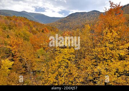 Feuillage d'automne coloré et sommet du Mont Lafayette. Parc national de Franconia Notch, White Mountains du New Hampshire. Banque D'Images