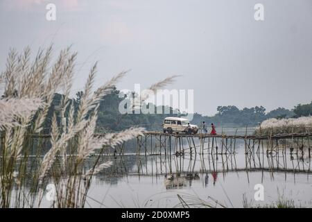 Hoogly, Inde. 03ème octobre 2020. Une voiture court sur les bâtons de bambou à côté du très beau champ de trésorerie. La fleur de KanS (fleur de Saccharum spontaneum, herbe de Kans, fleur d'herbe de canne à sucre sauvage) pousse pendant la saison d'automne. Crédit : SOPA Images Limited/Alamy Live News Banque D'Images