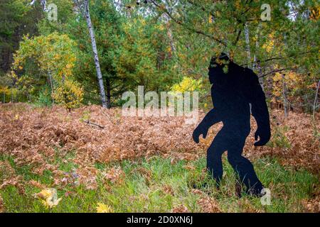 Bigfoot soupirant. Silhouette noire de la découpe de Bigfoot dans un parc régional du nord du Michigan. Banque D'Images