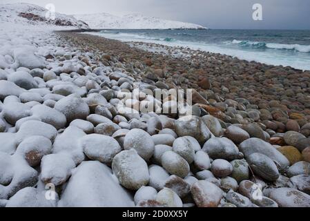 Plage aux pierres rondes le jour de février. Côte de l'océan Arctique à proximité du village de Teriberka. Région de Mourmansk, Russie Banque D'Images