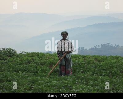 Lady à la ferme en Ouganda Banque D'Images