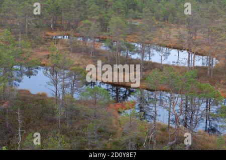 Vue aérienne de Viru Raba, Parc national de Lehemaa, Estonie Banque D'Images