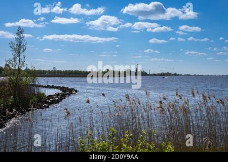 Paysage hollandais avec eau et nuages en été Banque D'Images