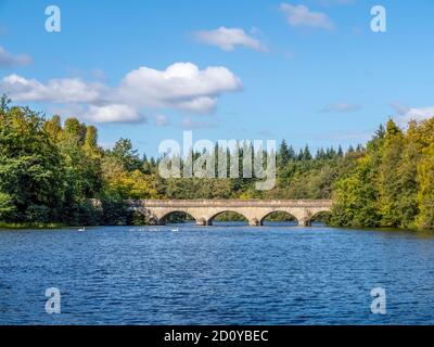 Lac Virginia Water, réservoir, pont Arch 5. Surrey, Angleterre, Royaume-Uni. Banque D'Images