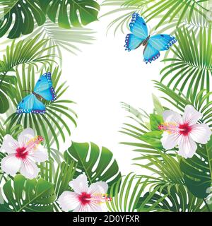 arrière-plan avec plantes tropicales et papillons bleus Illustration de Vecteur