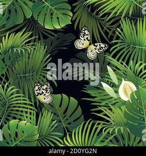 bannière avec plantes tropicales et papillons sur fond noir Illustration de Vecteur