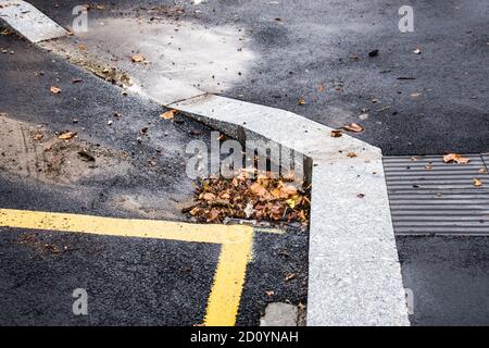 Système de vidange d'eau obstrué avec feuilles sèches sur la route Banque D'Images