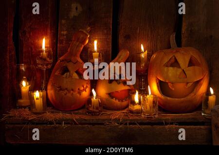 Citrouilles d'Halloween Banque D'Images