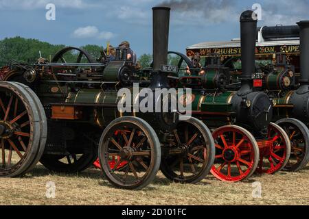 Des moteurs de traction à usage général anciens combattants d'avant la première Guerre mondiale sont exposés au 50e anniversaire de Woodcote Steam & Vintage transport Rally en juillet 2013 à Woodcote, Oxfordshire, Angleterre, Royaume-Uni. La puissante gamme comprenait la foire de Rosamund, Wallis et Steevens No. 7497, construite en 1914, et la vieille minuterie, Marshall No. 37690, construite en 1902. Banque D'Images