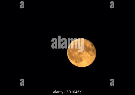 La lune de la moisson monte dans le ciel nocturne octobre 2020. Banque D'Images
