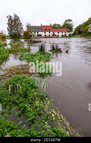 Great Doddington, Northamptonshire, Royaume-Uni, 4 octobre 2020 la rivière Nene envahit la vallée de Nene à la traversée en eau dure sur la route en eau dure. Crédit : Keith J Smith./Alamy Live News Banque D'Images