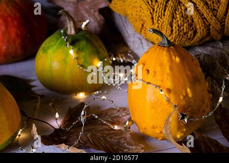 Automne. Citrouilles, feuilles de dray et chandails tricotés décorés de guirlandes de fées de Noël sur fond de bois blanc. Banque D'Images