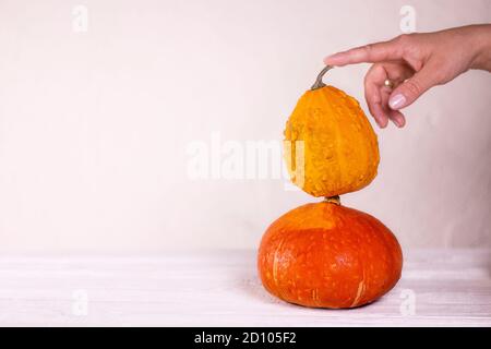 Tour de citrouilles avec le doigt. Citrouilles de couleur et de forme différentes avec main sur fond blanc. Banque D'Images