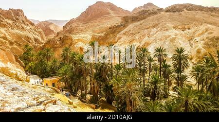 Oasis de montagne Chebika dans le désert du Sahara. Tunisie Banque D'Images