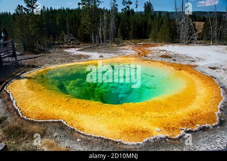 Morning Glory Spring, Upper Geyser Basin, parc national de Yellowstone, Wyoming, États-Unis Banque D'Images