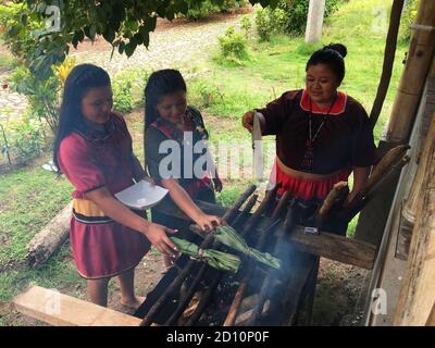 Nueva Loja, Sucumbios / Equateur - 2 septembre 2020: Groupe de femmes autochtones de nationalité cofan cuisinant des maitos à l'extérieur de leur maison au milieu de Banque D'Images