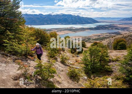 Deux excursions de Calafate dans le parc national de Los Glaciares pour grimper Cerro Cristal et voir le glacier Perito Moreno. Banque D'Images