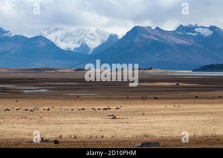 Deux excursions de Calafate dans le parc national de Los Glaciares pour grimper Cerro Cristal et voir le glacier Perito Moreno. Banque D'Images