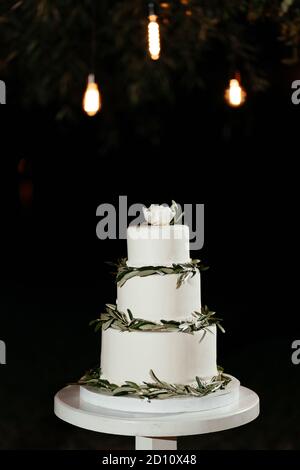 Gâteau de mariage minimaliste à trois niveaux décoré de feuilles vertes, gâteau au mariage Banque D'Images